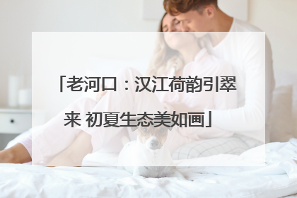 老河口：汉江荷韵引翠来 初夏生态美如画