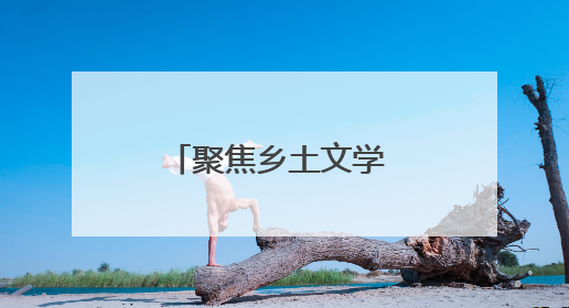 聚焦乡土文学 传承“三不朽”精神，《袁家岭》新书发布会举行