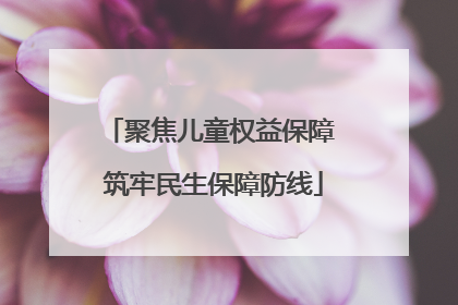 聚焦儿童权益保障 筑牢民生保障防线