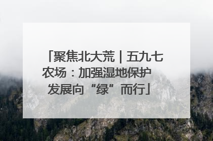 聚焦北大荒｜五九七农场：加强湿地保护 发展向“绿”而行