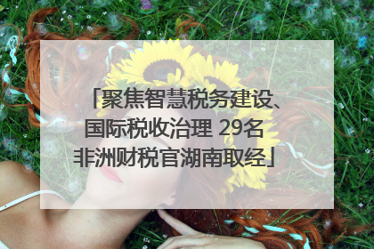 聚焦智慧税务建设、国际税收治理 29名非洲财税官湖南取经