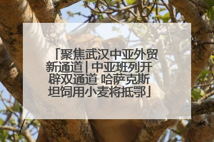 聚焦武汉中亚外贸新通道│中亚班列开辟双通道 哈萨克斯坦饲用小麦将抵鄂