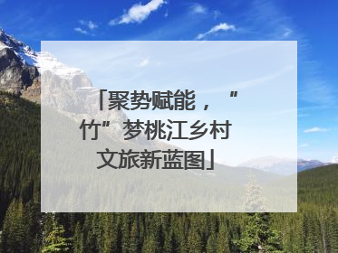 聚势赋能，“竹”梦桃江乡村文旅新蓝图