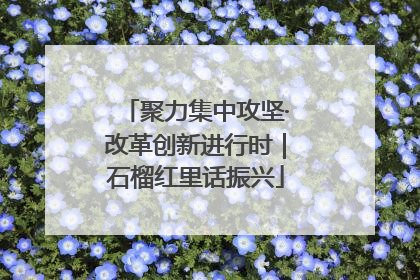 聚力集中攻坚·改革创新进行时｜石榴红里话振兴