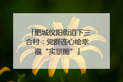 肥城仪阳街道下三合村：党群连心绘幸福“实景图”