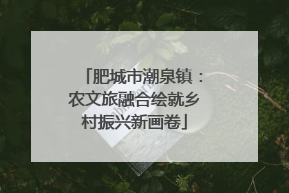 肥城市潮泉镇：农文旅融合绘就乡村振兴新画卷