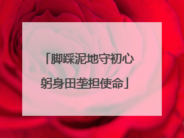 脚踩泥地守初心 躬身田垄担使命