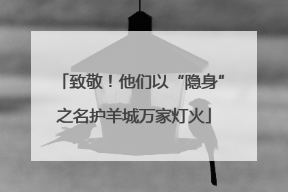 致敬！他们以“隐身”之名护羊城万家灯火