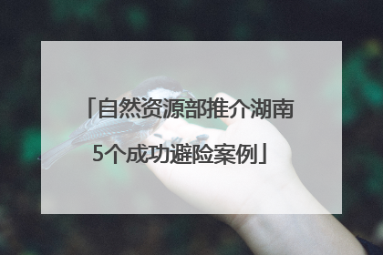 自然资源部推介湖南5个成功避险案例