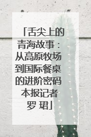 舌尖上的青海故事：从高原牧场到国际餐桌的进阶密码 本报记者 罗 珺