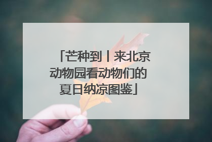 芒种到丨来北京动物园看动物们的夏日纳凉图鉴