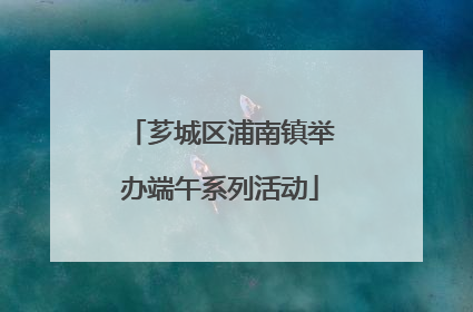 芗城区浦南镇举办端午系列活动