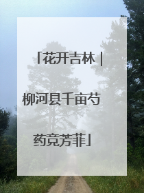 花开吉林｜柳河县千亩芍药竞芳菲