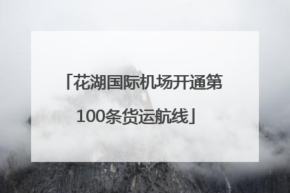 花湖国际机场开通第100条货运航线