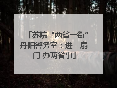 苏皖“两省一街”丹阳警务室：进一扇门 办两省事