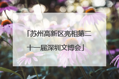苏州高新区亮相第二十一届深圳文博会