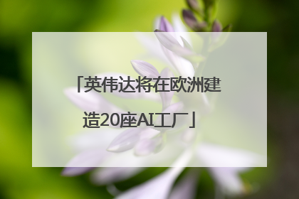 英伟达将在欧洲建造20座AI工厂