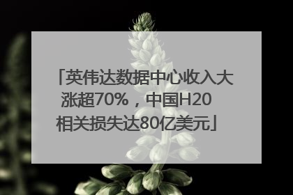 英伟达数据中心收入大涨超70%，中国H20相关损失达80亿美元