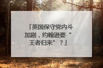 英国保守党内斗加剧，约翰逊要“王者归来”？