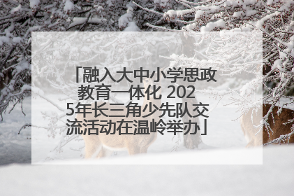 融入大中小学思政教育一体化 2025年长三角少先队交流活动在温岭举办