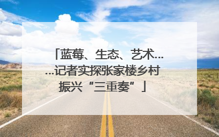 蓝莓、生态、艺术……记者实探张家楼乡村振兴“三重奏”