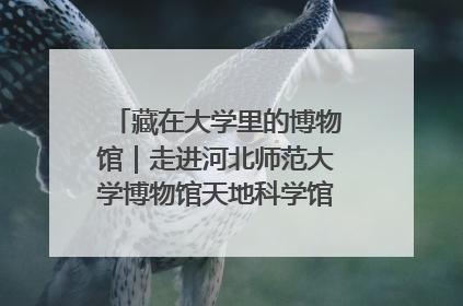 藏在大学里的博物馆｜走进河北师范大学博物馆天地科学馆：在校园里赴一场“宇宙之约”