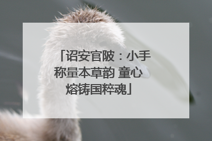 诏安官陂：小手称量本草韵 童心熔铸国粹魂