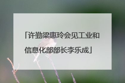 许勤梁惠玲会见工业和信息化部部长李乐成