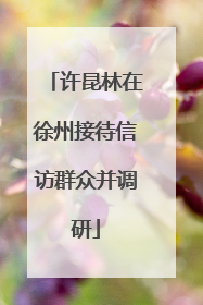 许昆林在徐州接待信访群众并调研