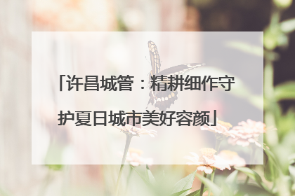许昌城管：精耕细作守护夏日城市美好容颜