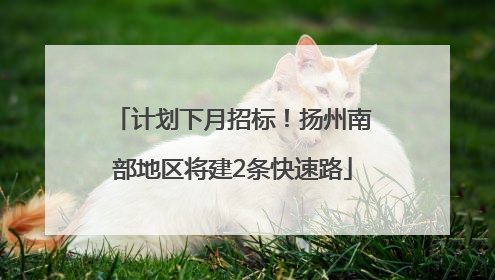 计划下月招标！扬州南部地区将建2条快速路