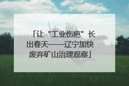 让“工业伤疤”长出春天——辽宁加快废弃矿山治理观察