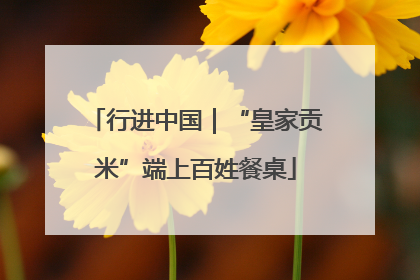 行进中国｜“皇家贡米”端上百姓餐桌