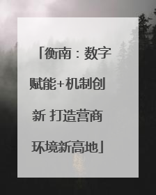 衡南：数字赋能+机制创新 打造营商环境新高地