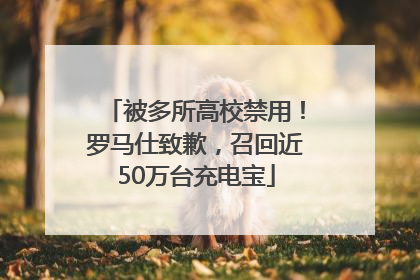 被多所高校禁用！罗马仕致歉，召回近50万台充电宝