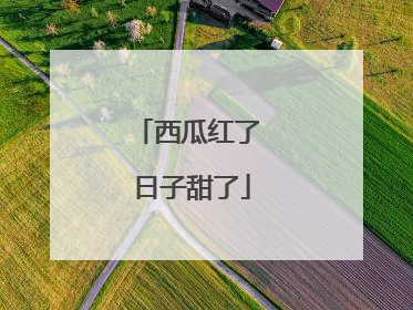 西瓜红了 日子甜了