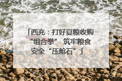 西充：打好夏粮收购“组合拳” 筑牢粮食安全“压舱石”