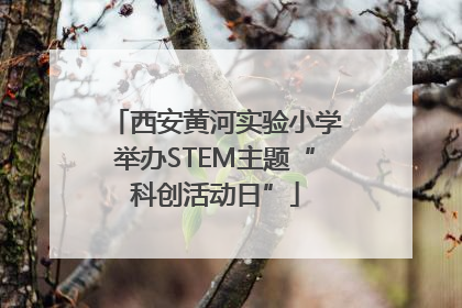 西安黄河实验小学举办STEM主题“科创活动日”