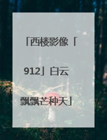 西楼影像「912」白云飘飘芒种天