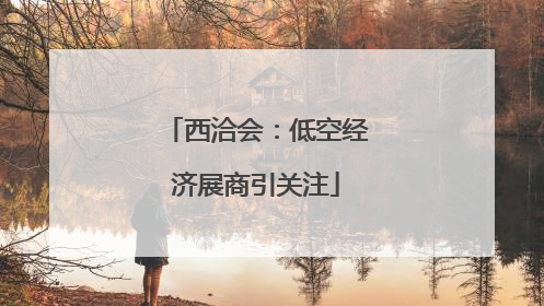 西洽会：低空经济展商引关注