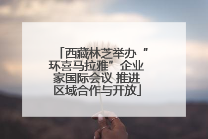 西藏林芝举办“环喜马拉雅”企业家国际会议 推进区域合作与开放