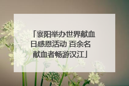 襄阳举办世界献血日感恩活动 百余名献血者畅游汉江