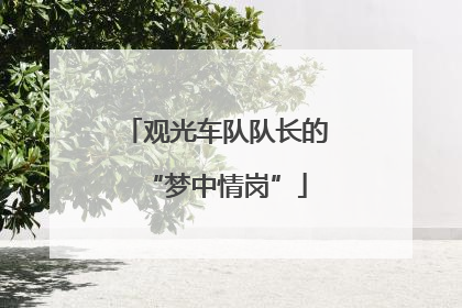 观光车队队长的“梦中情岗”