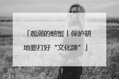 观潮的螃蟹丨保护耕地要打好“文化牌”