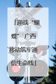 迎战“蝴蝶” 广西移动筑牢通信生命线