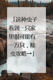 这种虫子看到一只家里很可能有一万只，除虫攻略→