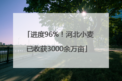 进度96%！河北小麦已收获3000余万亩