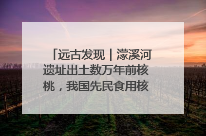 远古发现｜濛溪河遗址出土数万年前核桃，我国先民食用核桃历史大幅提前