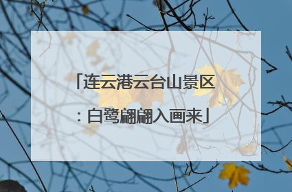 连云港云台山景区：白鹭翩翩入画来
