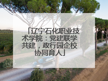 辽宁石化职业技术学院：党建联学共建，政行园企校协同育人